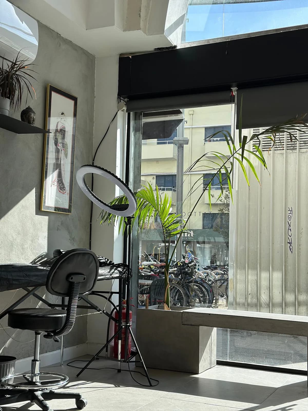Inside the 90 ink studio — plants, concrete, and soft daylight